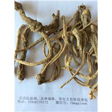 信前胡--小统