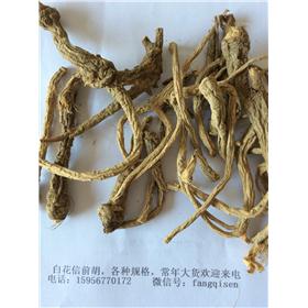 信前胡--小统