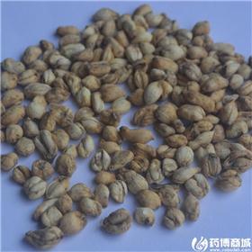 伊贝 中统 