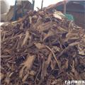 当归 小统货
