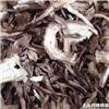当归 中统货