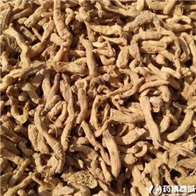 玉竹 个子
