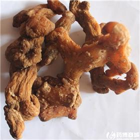 黄精 个子 选货