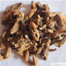 黄精 个（皖南）