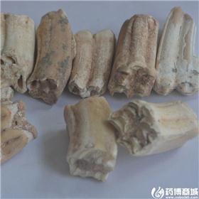 龙齿