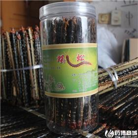 蜈蚣 精选