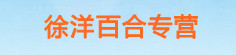徐洋百合专营
