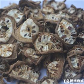 八月扎 统