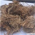 稻草根