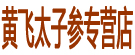 黄飞太子参专营店