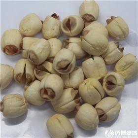 建莲 