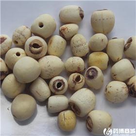 莲子 抽芯 统货 磨皮