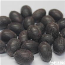 石莲子 湖南