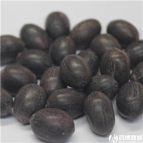 石莲子 湖南