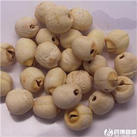 水泡莲 湖南