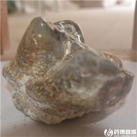 纯青龙齿