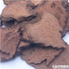 锁阳 选装 圆片 手..
