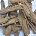地骨皮 精选