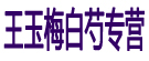 王玉梅白芍专营
