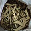 槲寄生 质优价廉