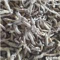 玉竹 个子