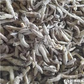玉竹 个子