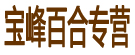宝峰百合专营