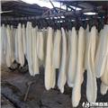 丝瓜络 大货供应 产地直销