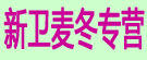 新卫麦冬专营