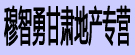 穆智勇甘肃地产专营