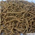 远志 统