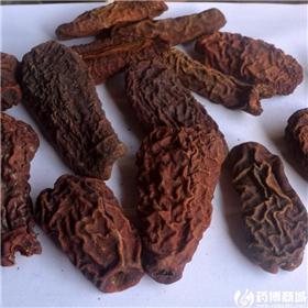 木瓜 湖北 个子