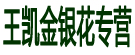 王凯金银花专营