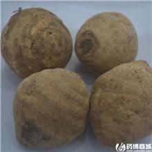 泽泻 个子 