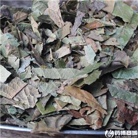 枇杷叶（统）