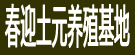 春迎土元养殖基地
