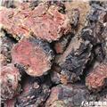 红景天 大花 统货 厚片