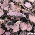 红景天 炕货 8# 