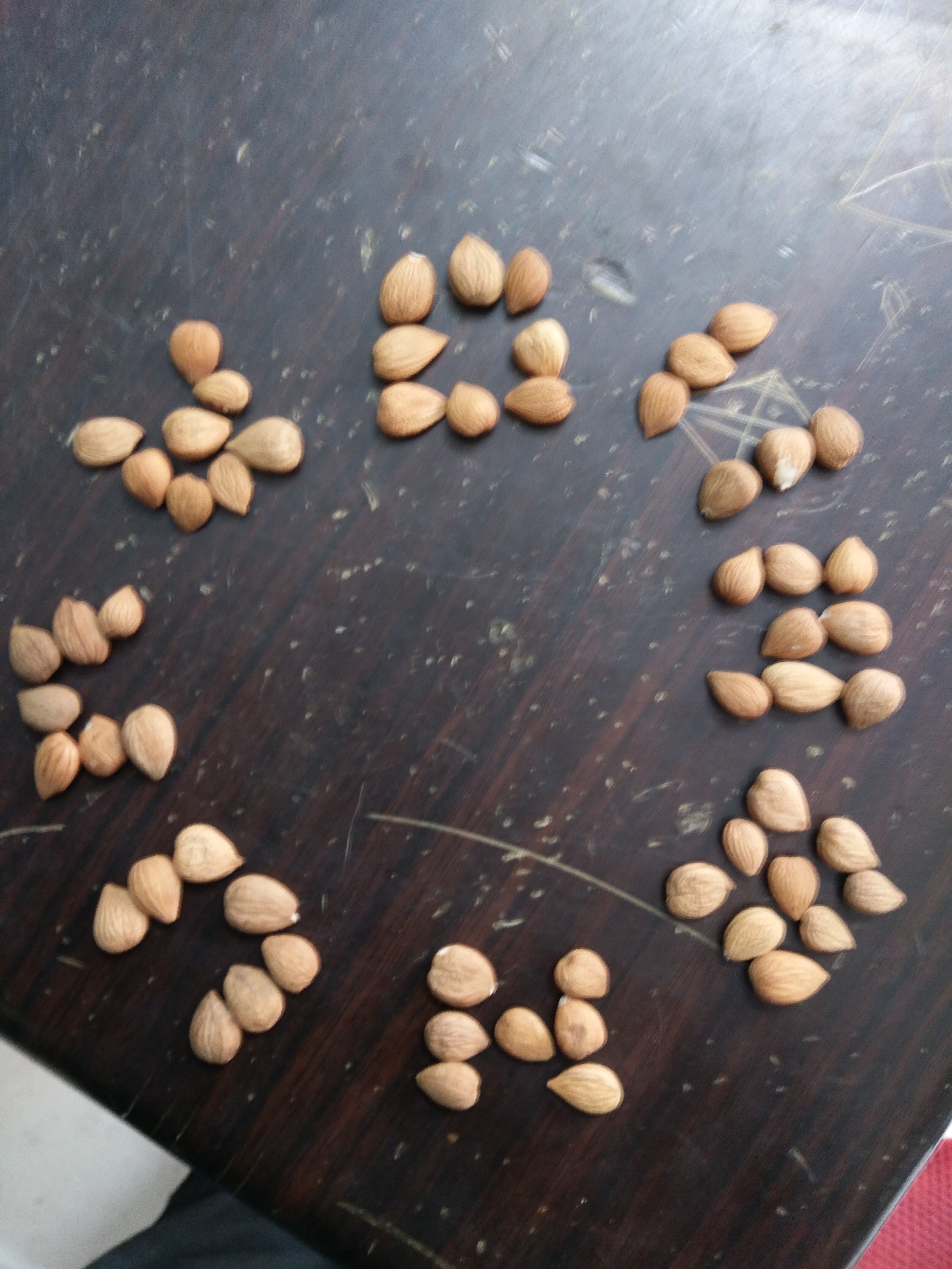 知源药业