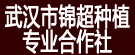 武汉市锦超种植专业合作社