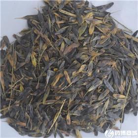 板蓝根 种子