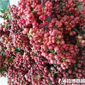 覆盆子大货供应