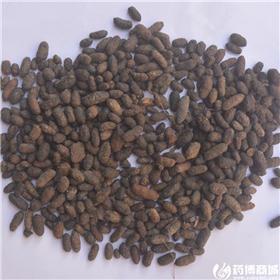 五灵脂 统货
