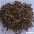 垂盆草