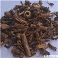 香五加