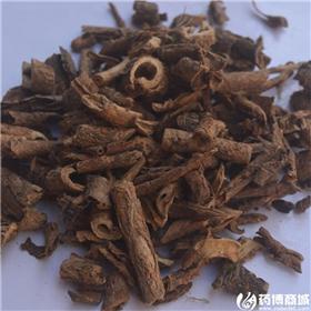 香五加