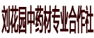 刘花园中药材专业合作社