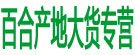 百合产地大货专营