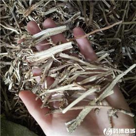 柴胡 两开 山西