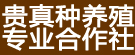 贵真种植专业合作社